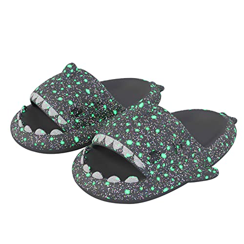 Litfun Starry Shark Slippers Women