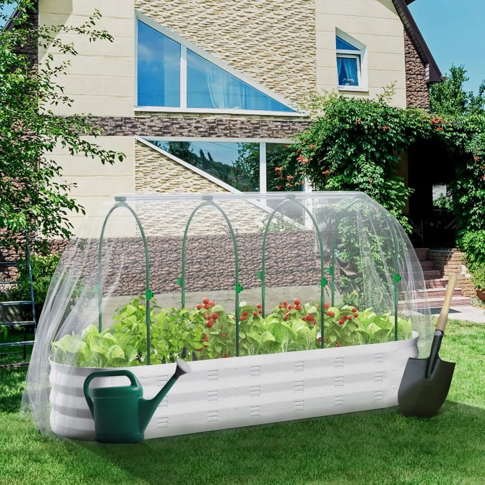 GreenGrow Box