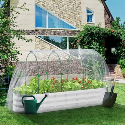 GreenGrow Box